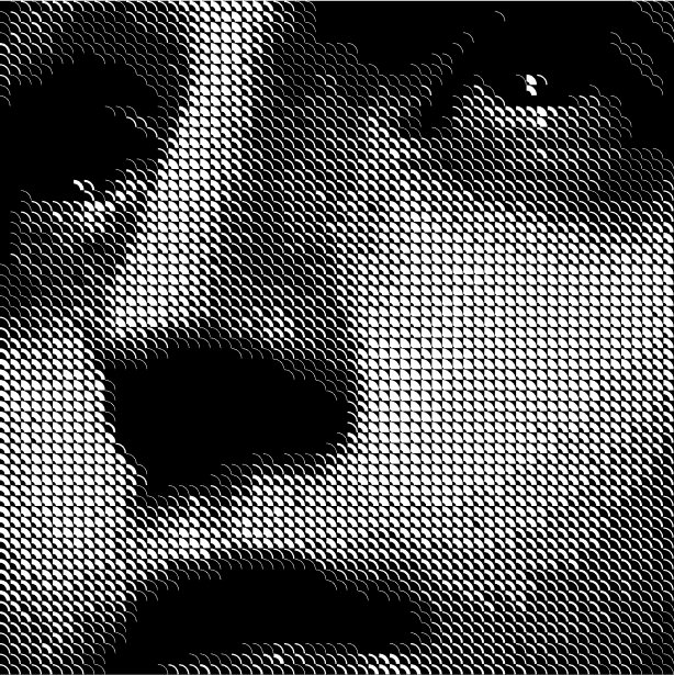 A human face rendered in a pixelized format.